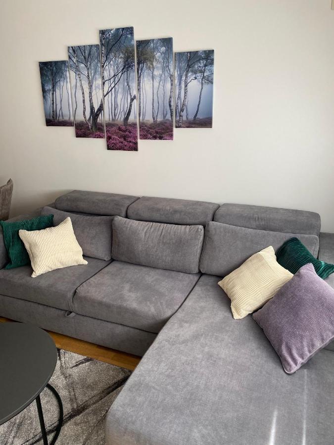 Apartman Pinora, Bazen&Spa Zlatibor Exteriér fotografie